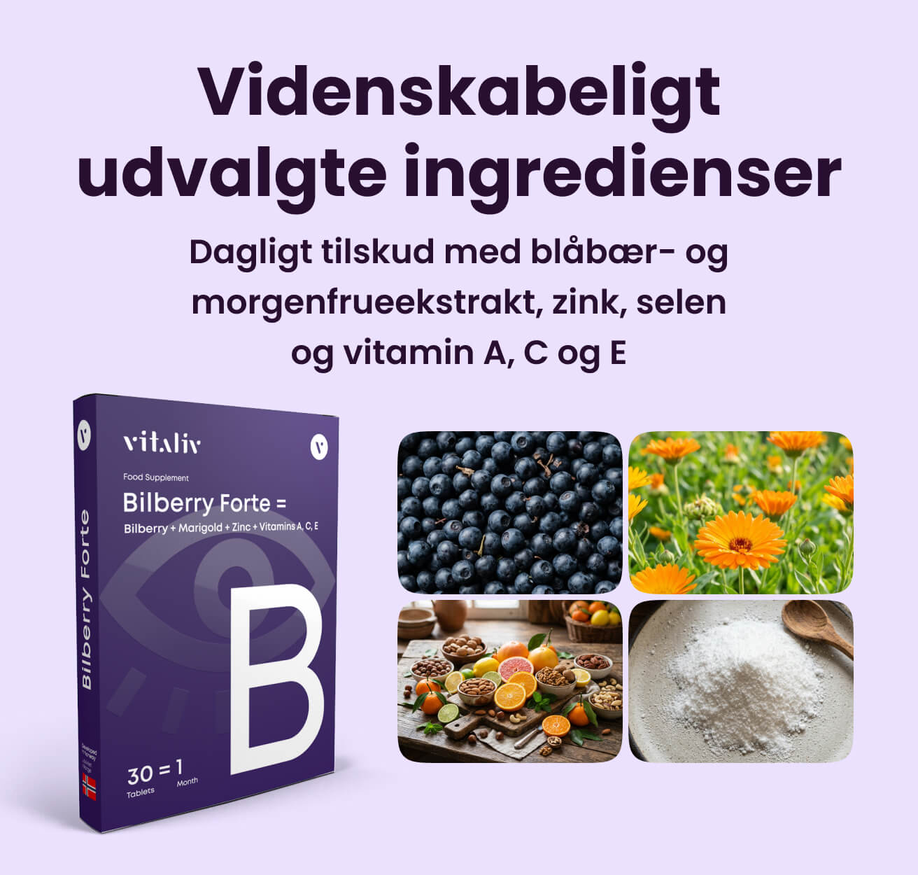 Bilberry Forte – billede 3 i produktgalleriet