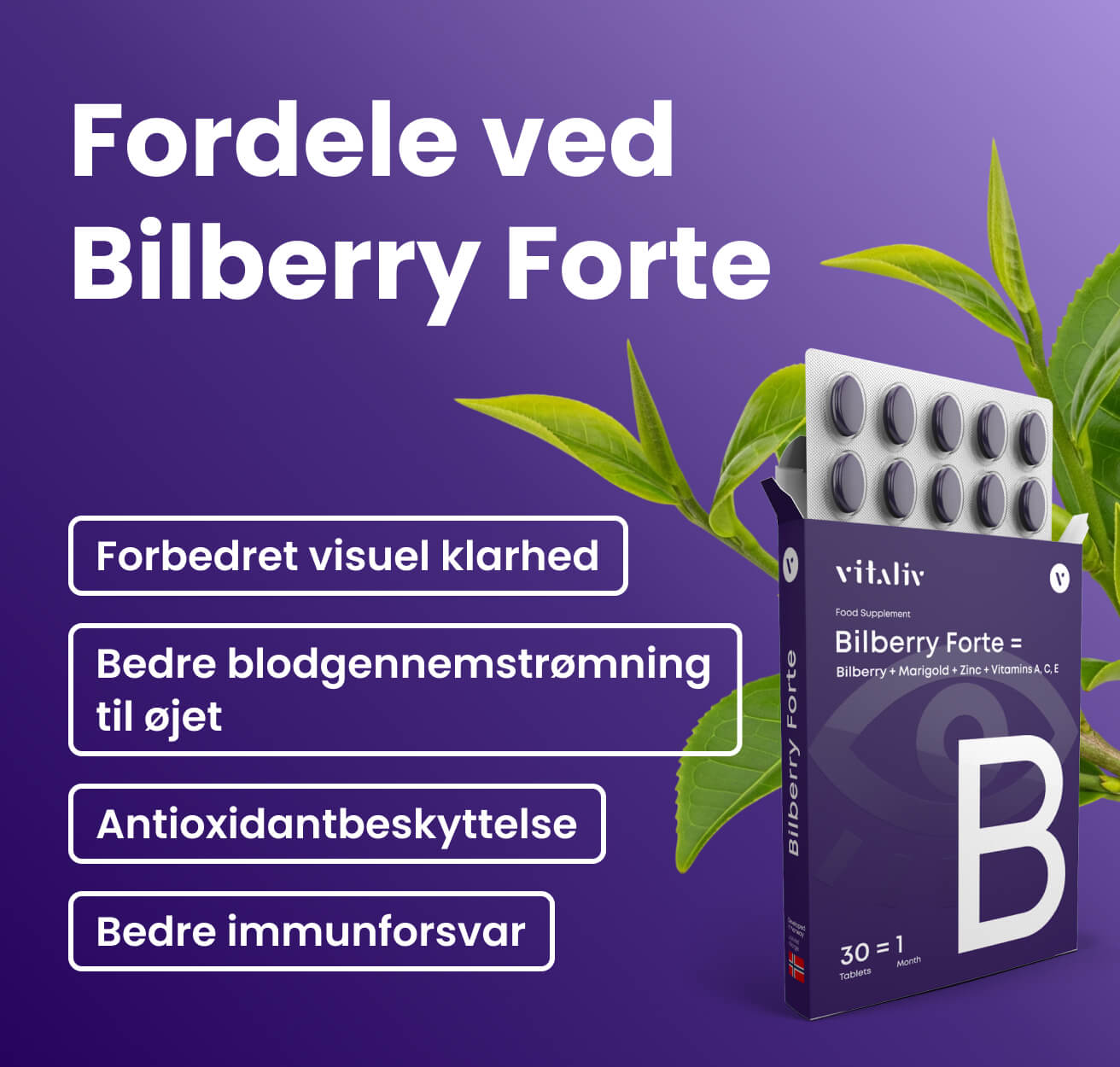 Bilberry Forte – billede 2 i produktgalleriet