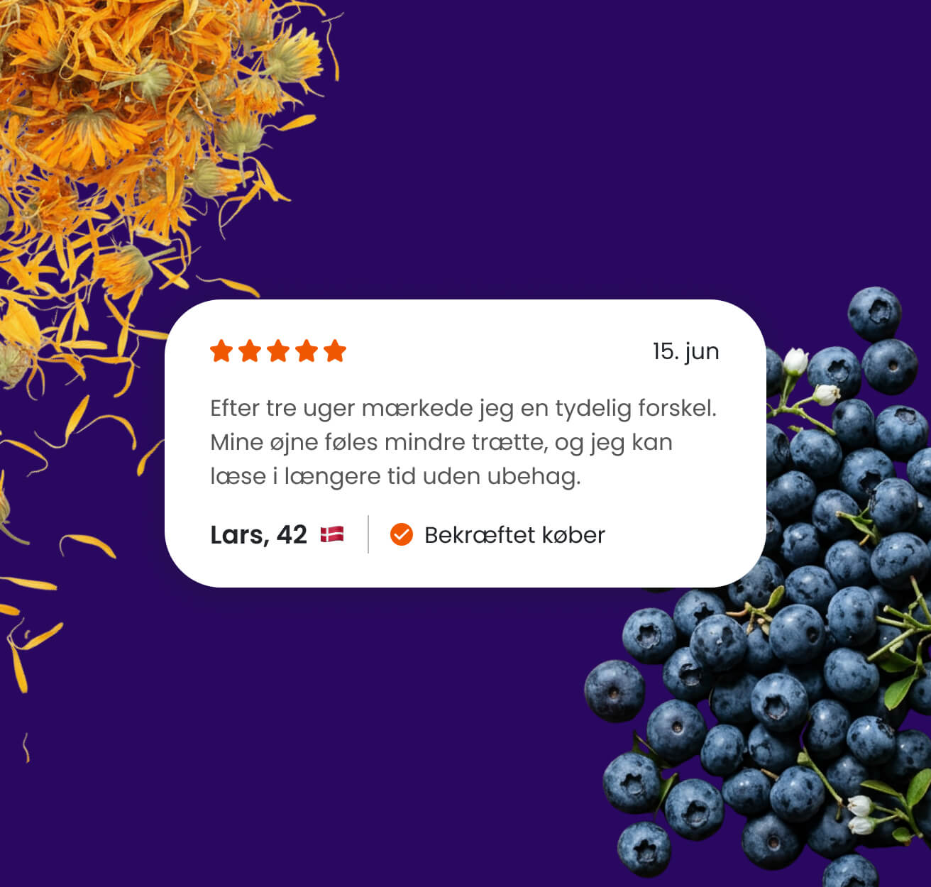 Bilberry Forte – billede 4 i produktgalleriet