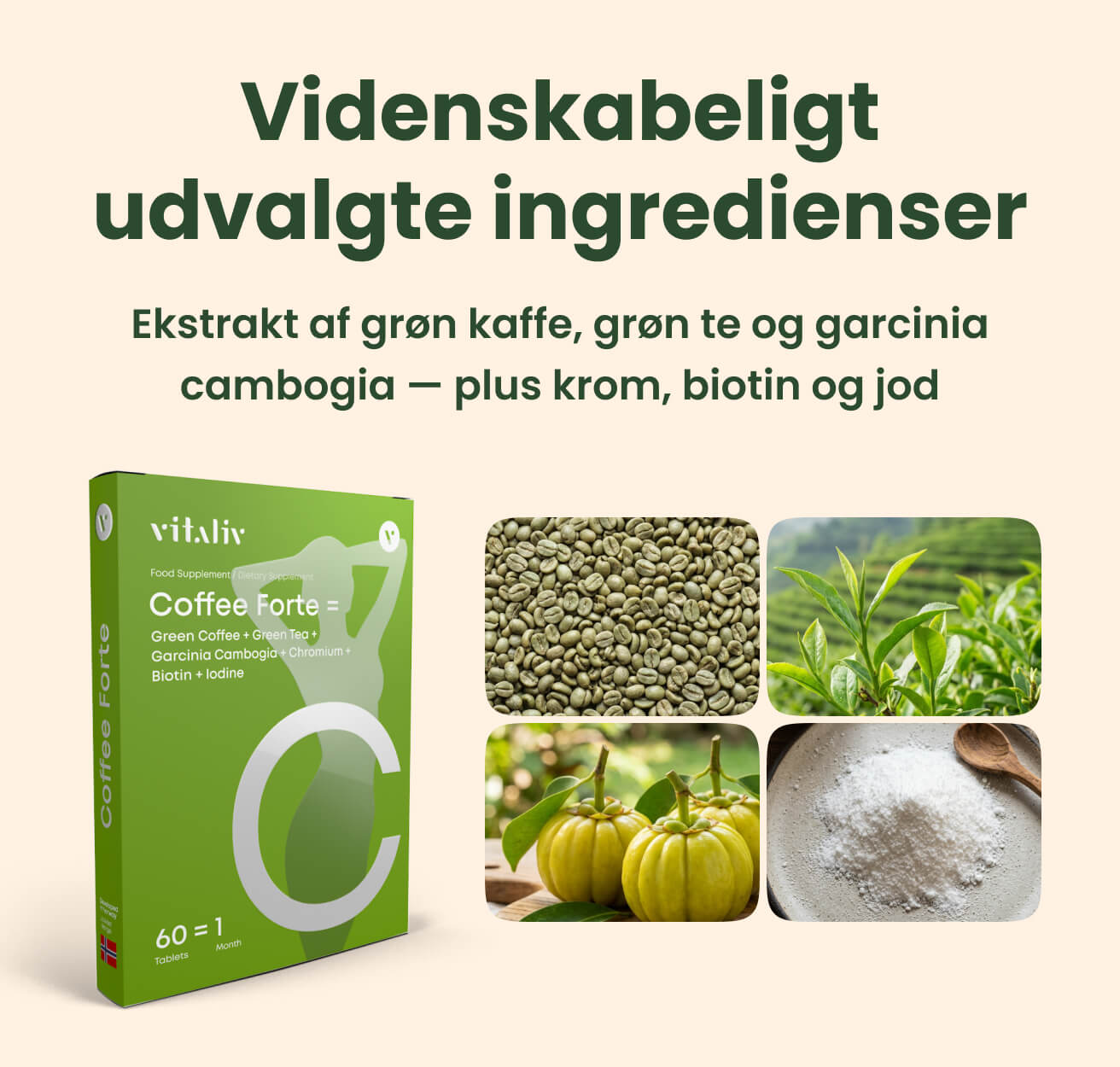 Coffee Forte – billede 3 i produktgalleriet