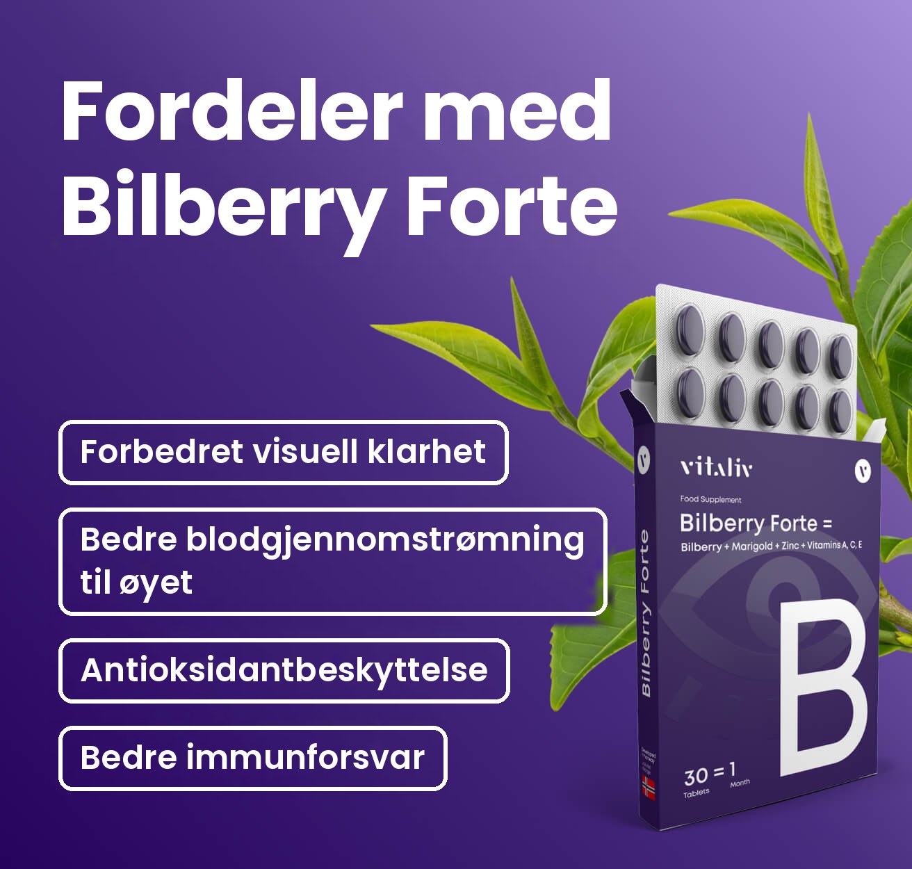 Fordeler med Bilberry Forte: forbedret visuell klarhet, bedre blodgjennomstrømning til øyet, antioksidantbeskyttelse, bedre immunforsvar