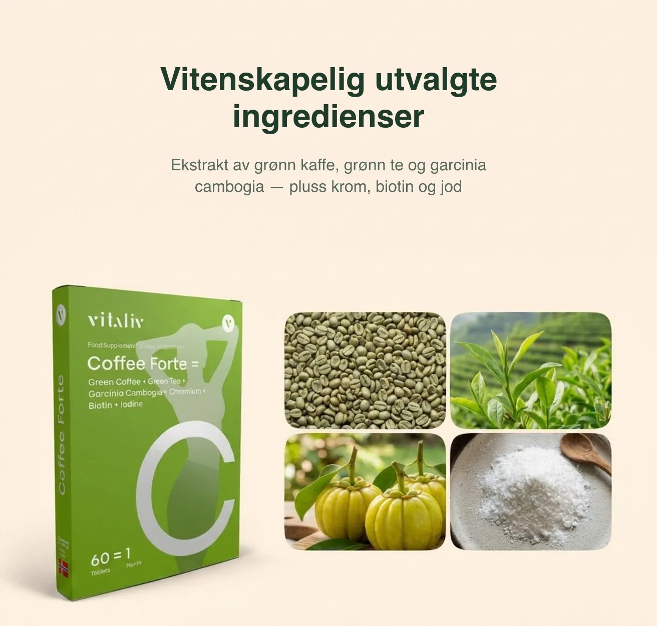 Coffee Forte – bilde 3 i produktgalleriet