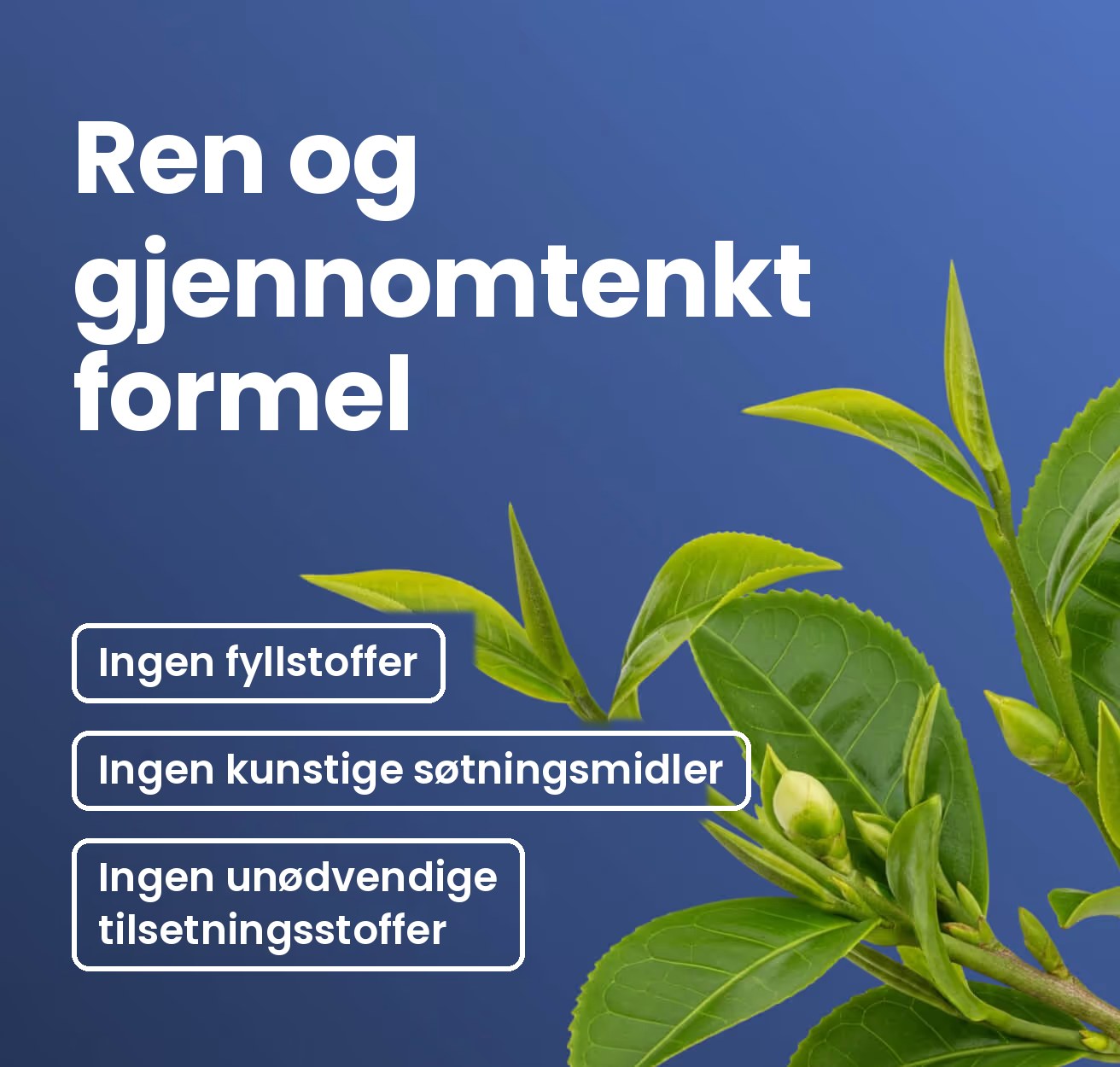 Ren og gjennomtenkt formel: ingen fyllstoffer, ingen kunstige søtningsmidler, ingen unødvendige tilsetningsstoffer