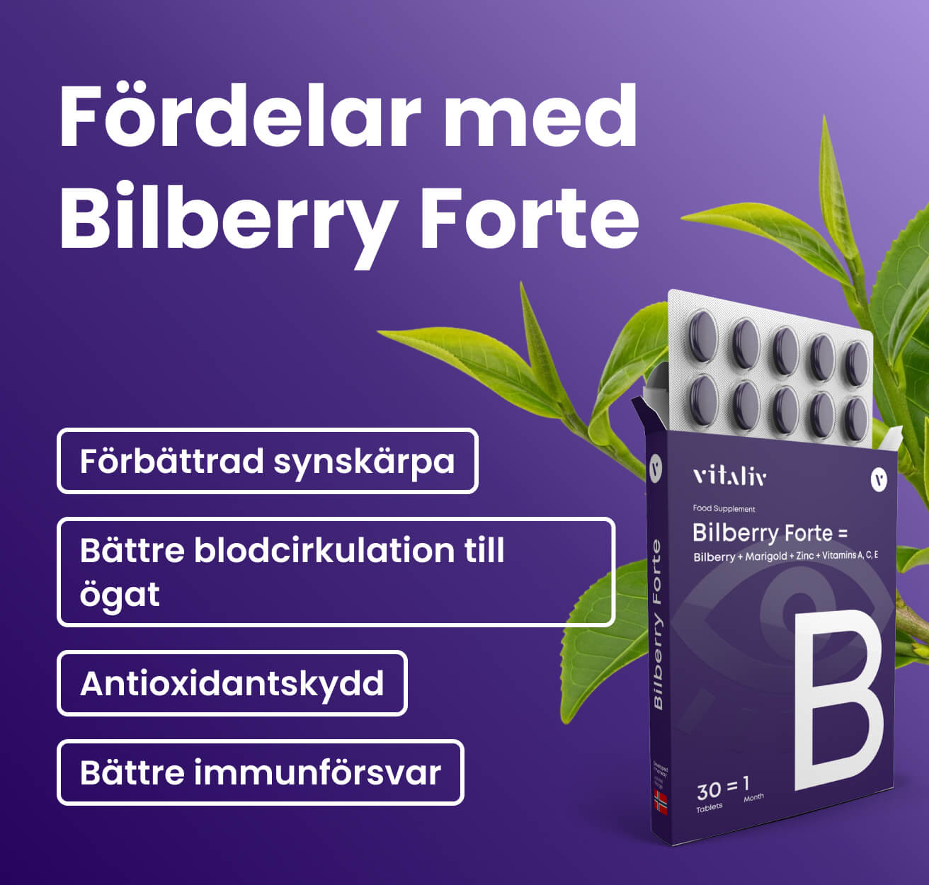 Bilberry Forte – bild 2 i produktgalleriet