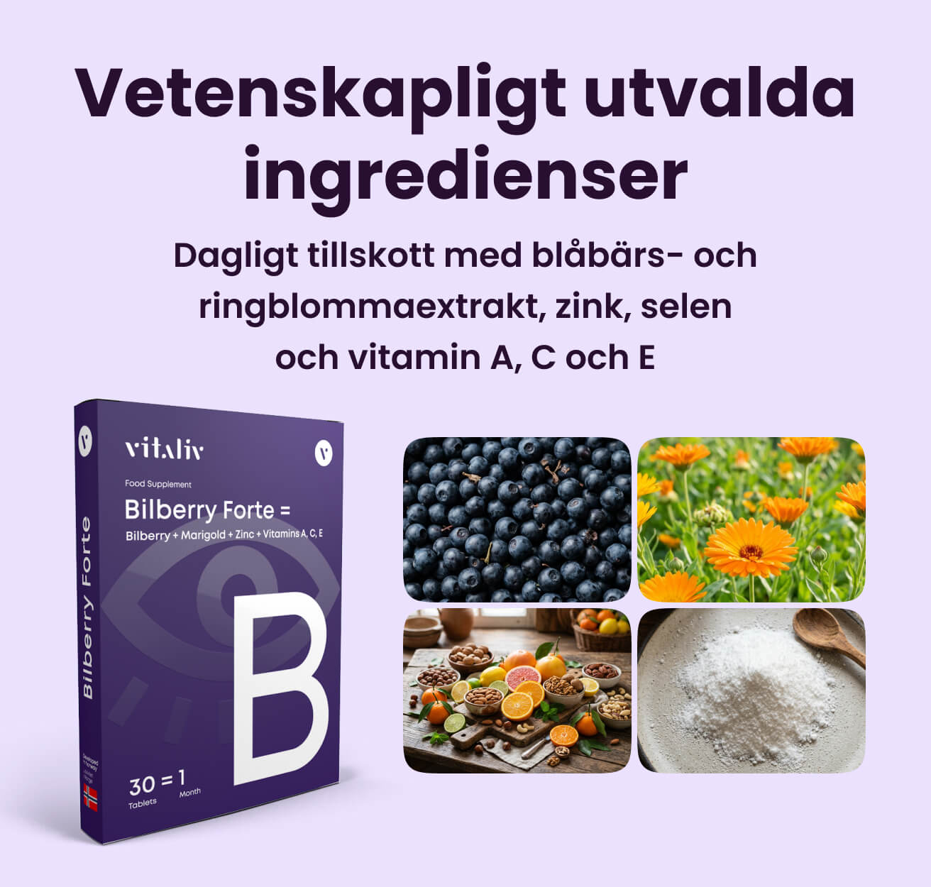 Bilberry Forte – bild 3 i produktgalleriet
